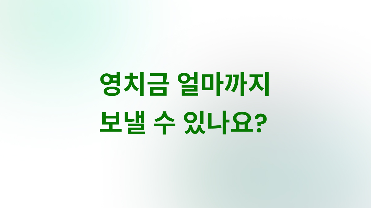 교도소 구치소 영치금 보관금 한도와 송금 방법 안내